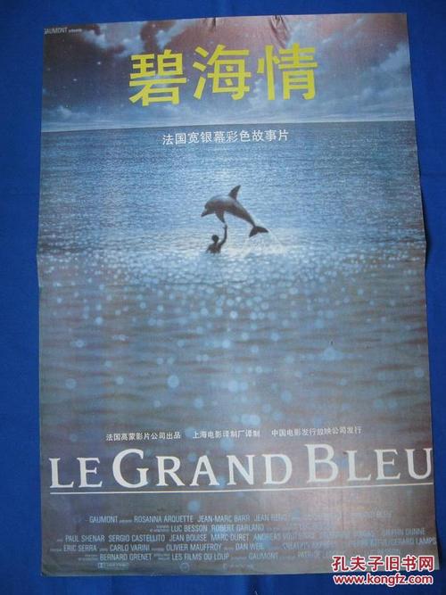 赫罗纳大学市场营销文凭证书